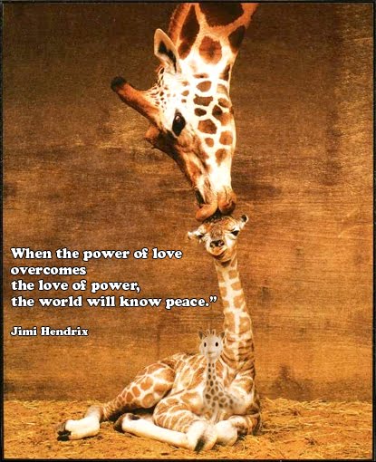Peace Love Giraffes