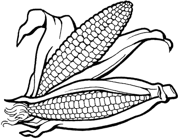 Corn Clip Art Black and White