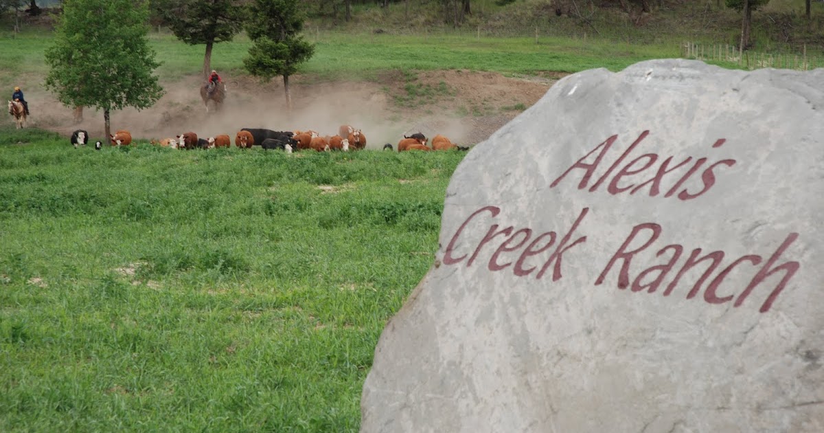 Ranches for Sale in British Columbia Alexis Creek Ranch
