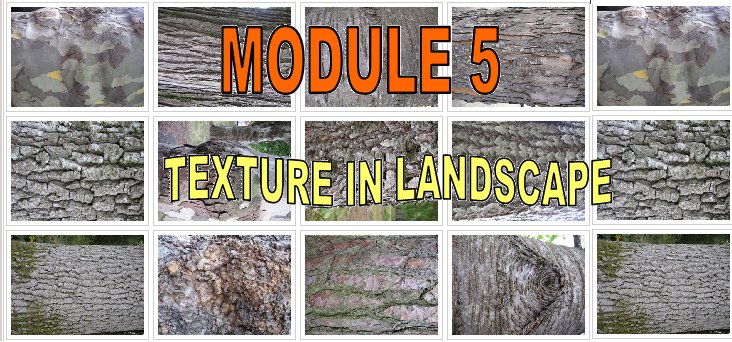 Module 5