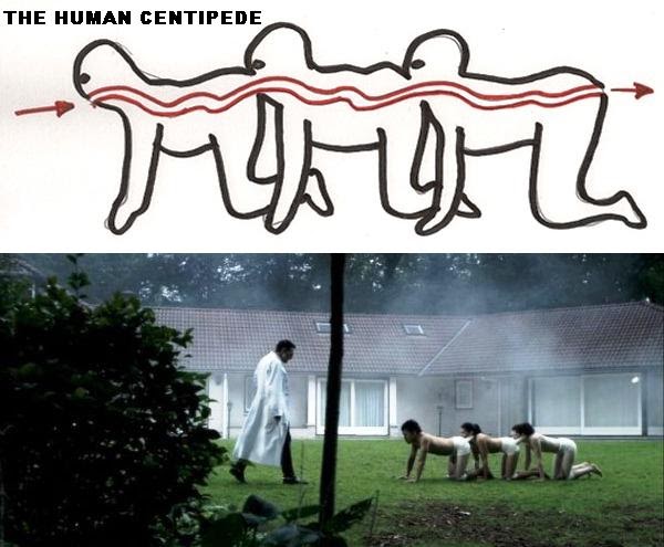 The human centipede, das experiment & hidden.