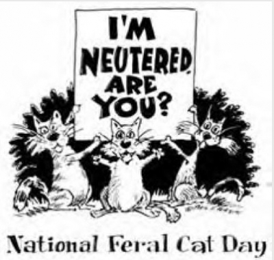 Feral Cat Population