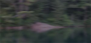 [Lapland-Lodge20090722_3736.jpg]