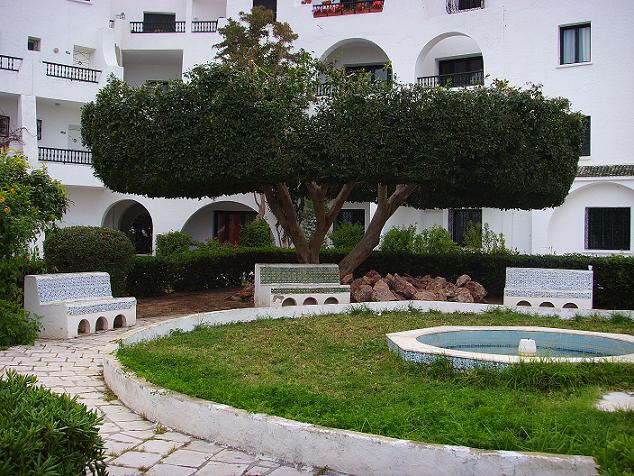 jardin arrière