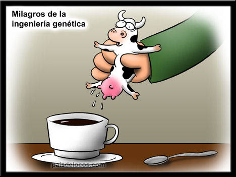[cafe+con+leche.jpg]