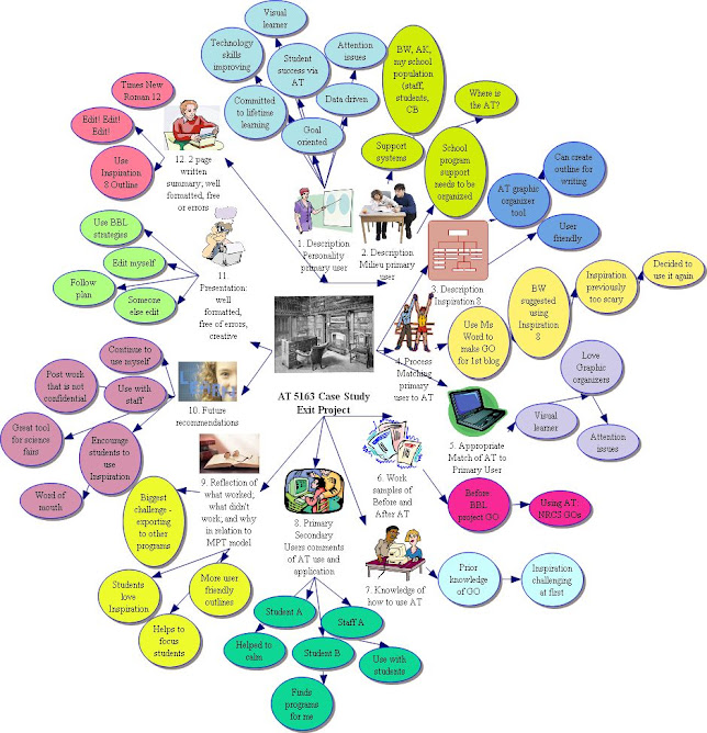 Case Study Graphic Organizer