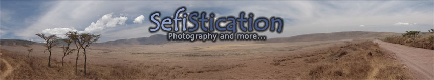 SefiStication