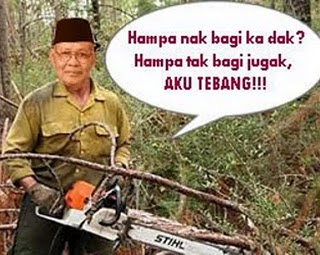 Gambar Pembalakan Haram
