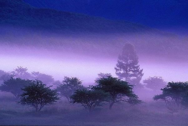 Poems To Remember