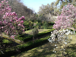 Café Arcadia: febrero 2009