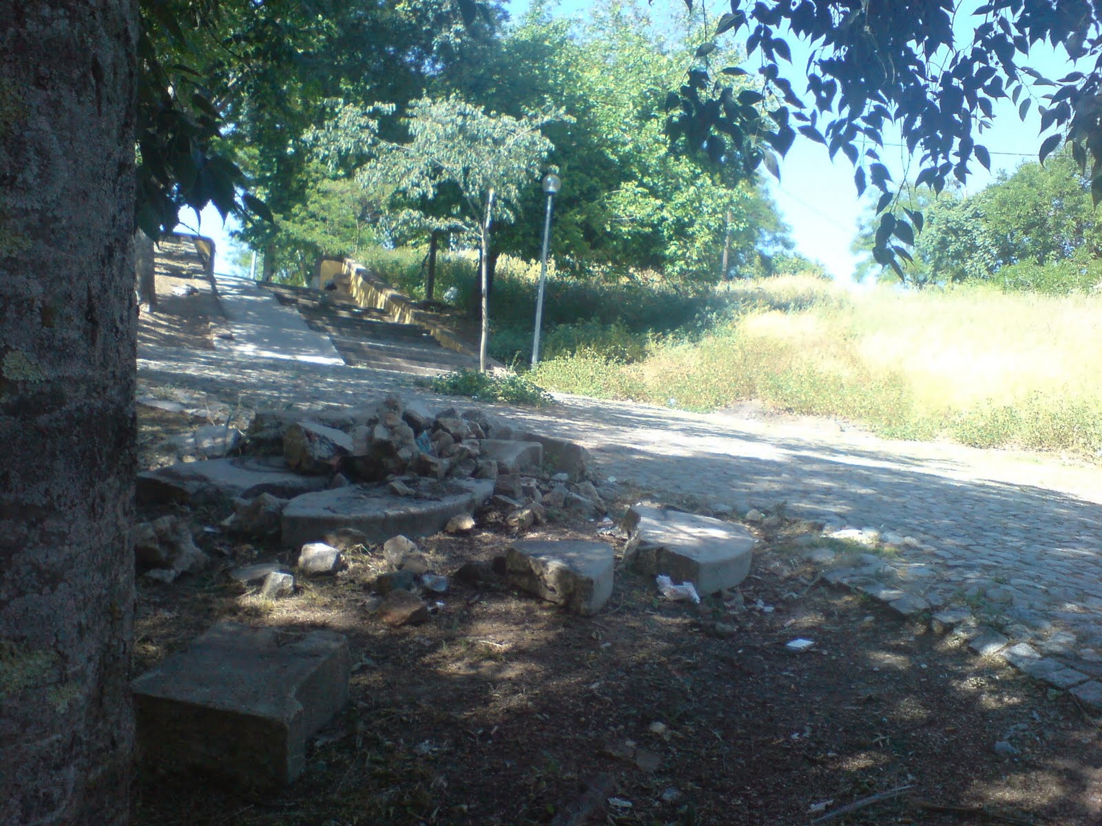 [DSC00895.JPG]