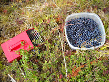 The Tundra Staples