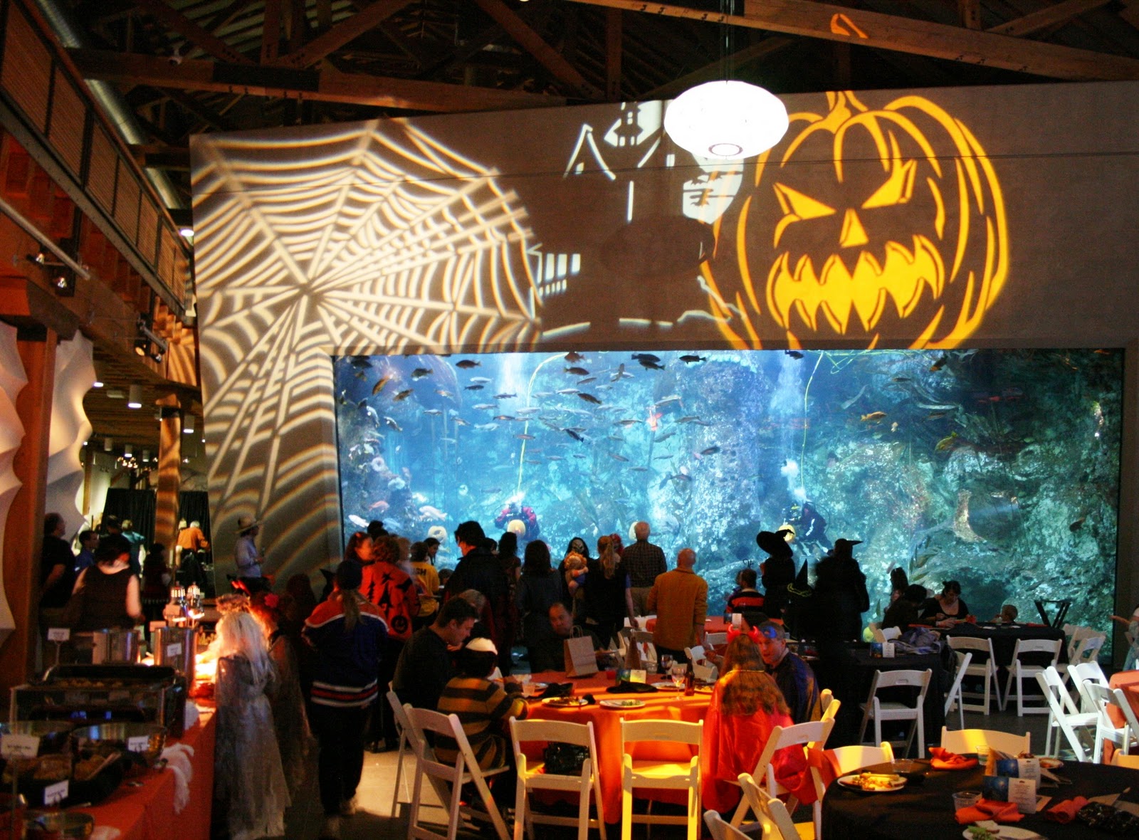 Seattle Aquarium at Night Happy Halloween!