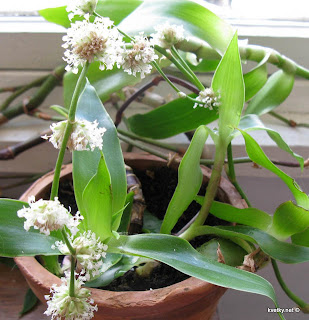 �������� ��������