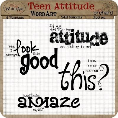 sayings and quotes about attitude. Attitude Quotes Images.