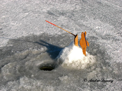 Gagner le tournoi volga la triade dans la pêche russe