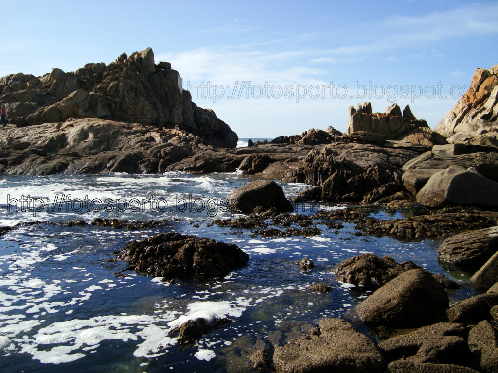 [DSC01073.JPG]