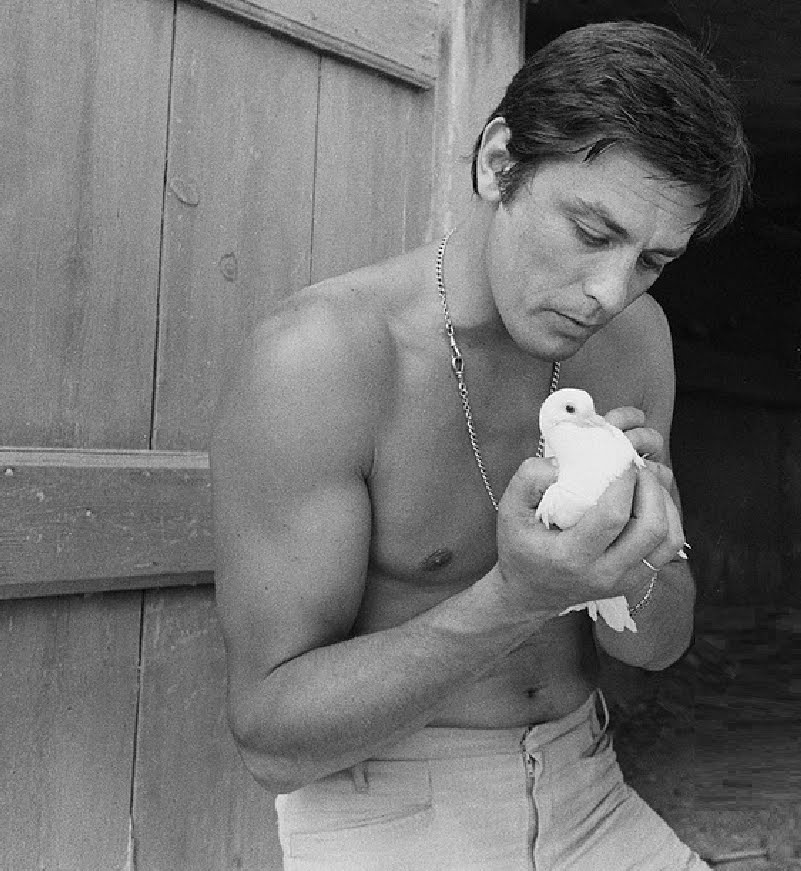alain delon jr