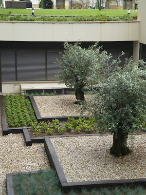 Francisco Cruz - Agricultura, Paisajismo, Césped deportivo: 06/01/2010