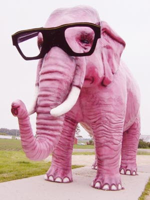 Jeux des images Elephant+rose+%C3%A0+lunette