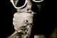 Ma photo