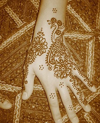 [henna+tattoo+peacock+on+hand.jpg]