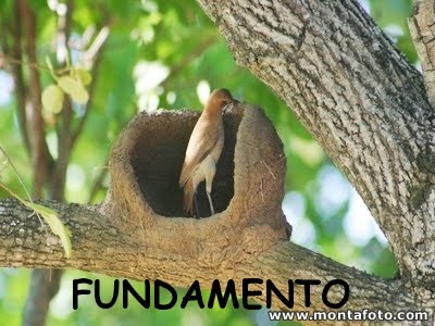 [FUNDAMENTO2.jpg]