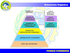 Estructura de Fuerza Ciudadana