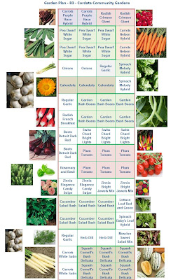 community garden layout