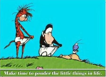 [ponder-the-little-things-thought.jpg]