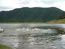 Triatlon Rural "ESCABA" - 14/02/09