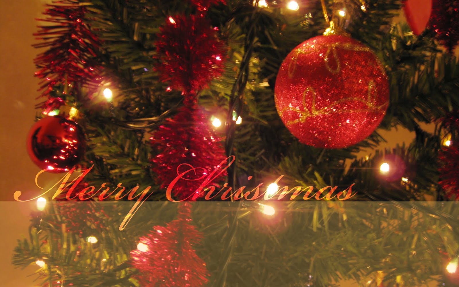 http://2.bp.blogspot.com/_NjdBzKI5nYs/TJpBuOOxnxI/AAAAAAAACkw/md9qPZPPzY4/s1600/christmas%2Btree%2B2010%2Bwallpaper%2Bchristmastree%2Bimage%2Bxmas%2Btree%2B2010%2Bwallpapers%2Bimages%2Bphotos%2Bpics%2Bposter.jpg