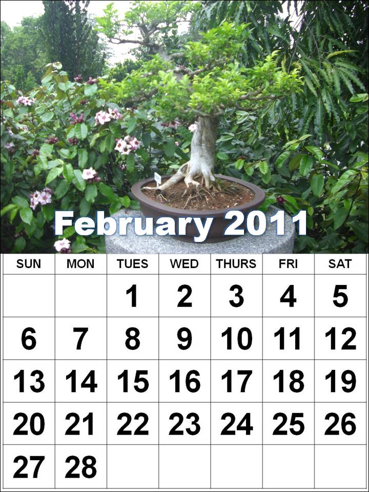 Wallpaper-Calendar-February-2011. Re-sized the images to 640 x 960