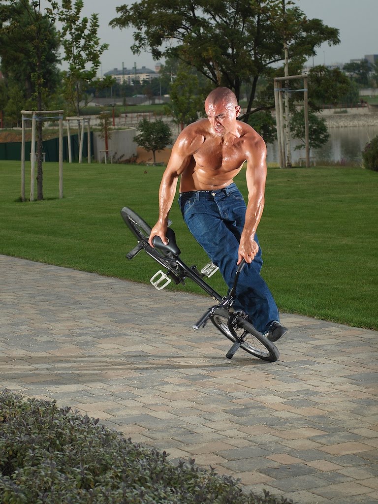 [shanebadmanpic1.jpg]