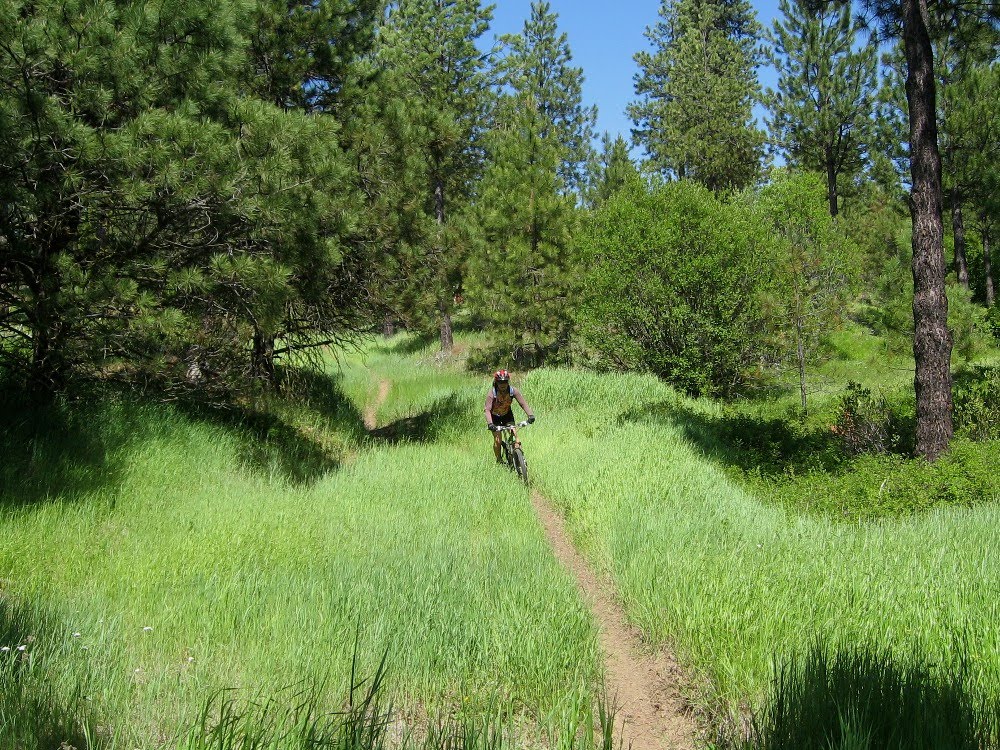 Bloated Skiing June 17, Teanaway Valley