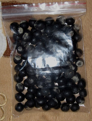 helpful indian plants find