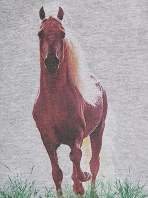 EMM (pronounced EdoubleM): STELLA McCARTNEY Horse Print ...