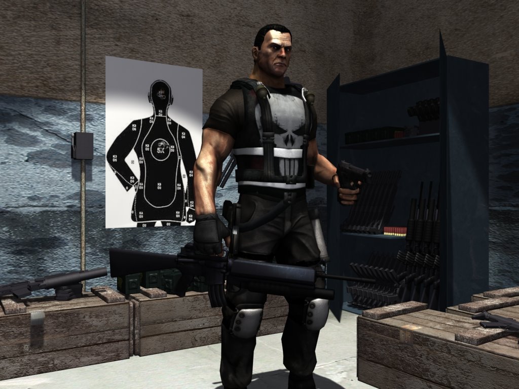 [Punisher_19.jpg]