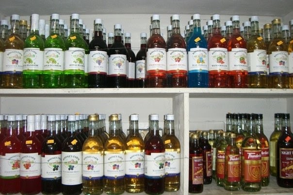 Can Girl masturbates with boones farm bottle Girl masturbates with boones farm bottle you migraine