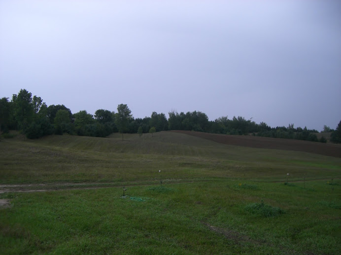 Field Prepped For Grapes in 2010