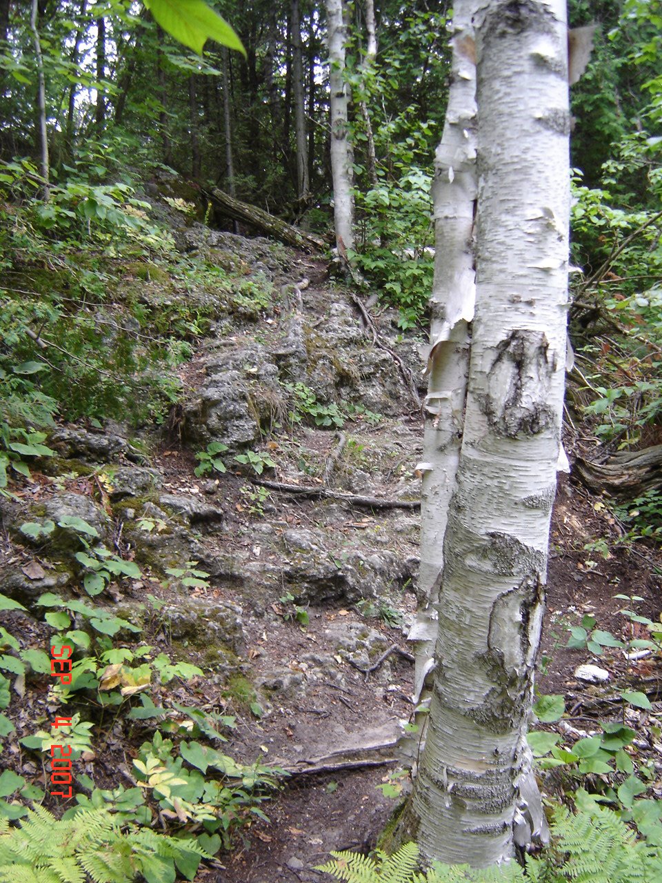 [DSC00752.JPG]