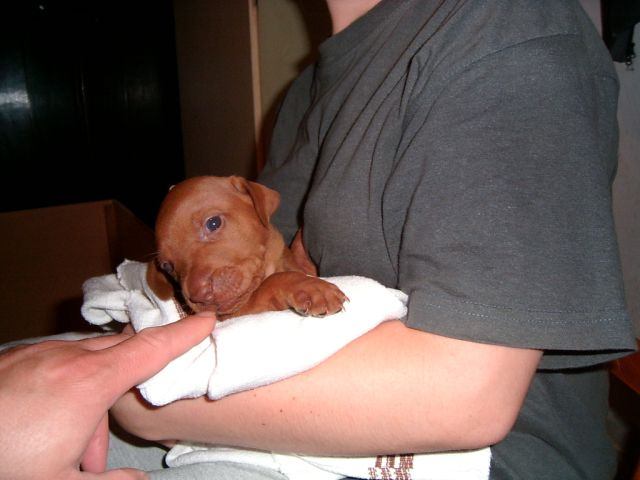 [!cid_image003.jpg@01CA112D[1]]