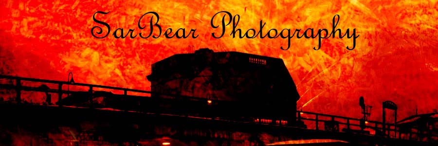 SarBear Photography