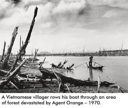 17-agent-orange.jpg
