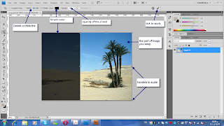 Adjusting images [crop, rotation, and canvas] by Photoshop - Lesson 3 Crop+2