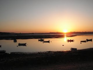 [DSC06113.JPG]