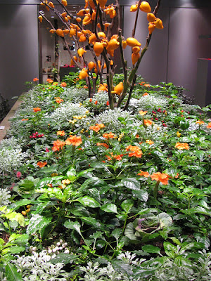 Underground Urban Farm In Japan (9) 7