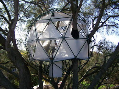 O2 Treehouse (3) 1