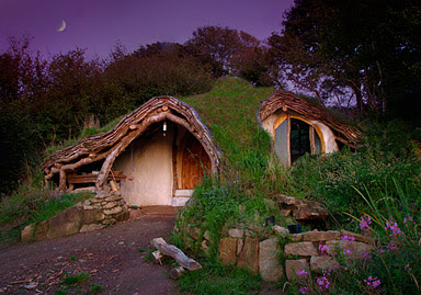 Organic House (2) 1