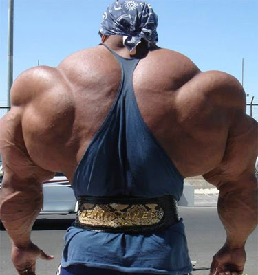 SEARCH AND BUY THIS PRODUCT Extreme Bodybuilders.